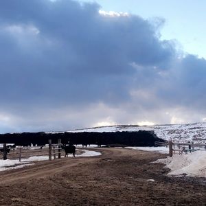 Meet your Posher, Peyton